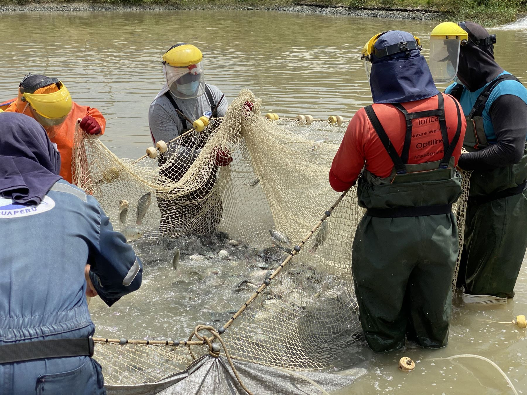 Produce publishes the National Aquaculture Policy by 2030