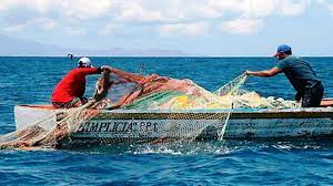 They approve an opinion so that the first 5 miles of the coast are for the exclusive use of artisanal fishing