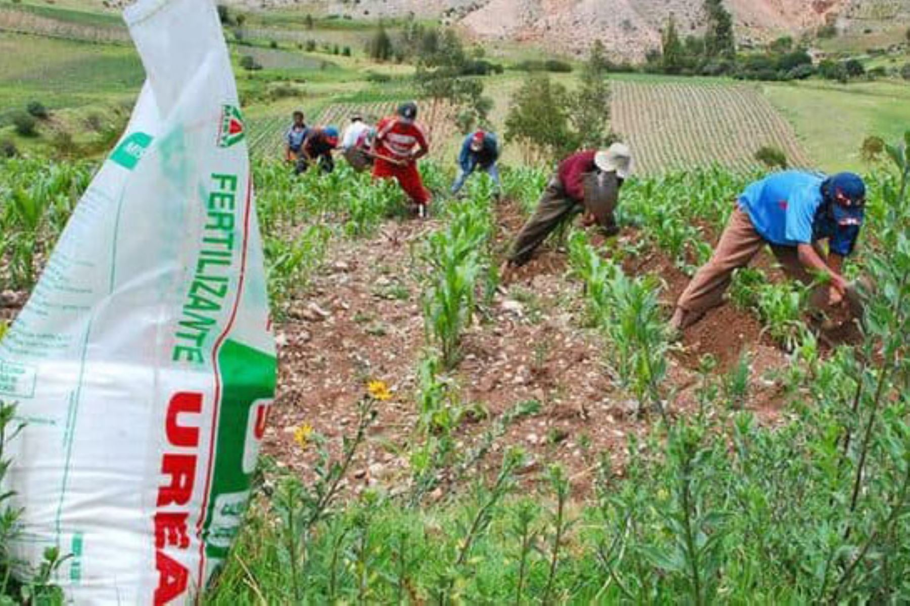Direcagro evaluates suing Agro Rural for more than US$ 9 million for canceling the purchase of urea