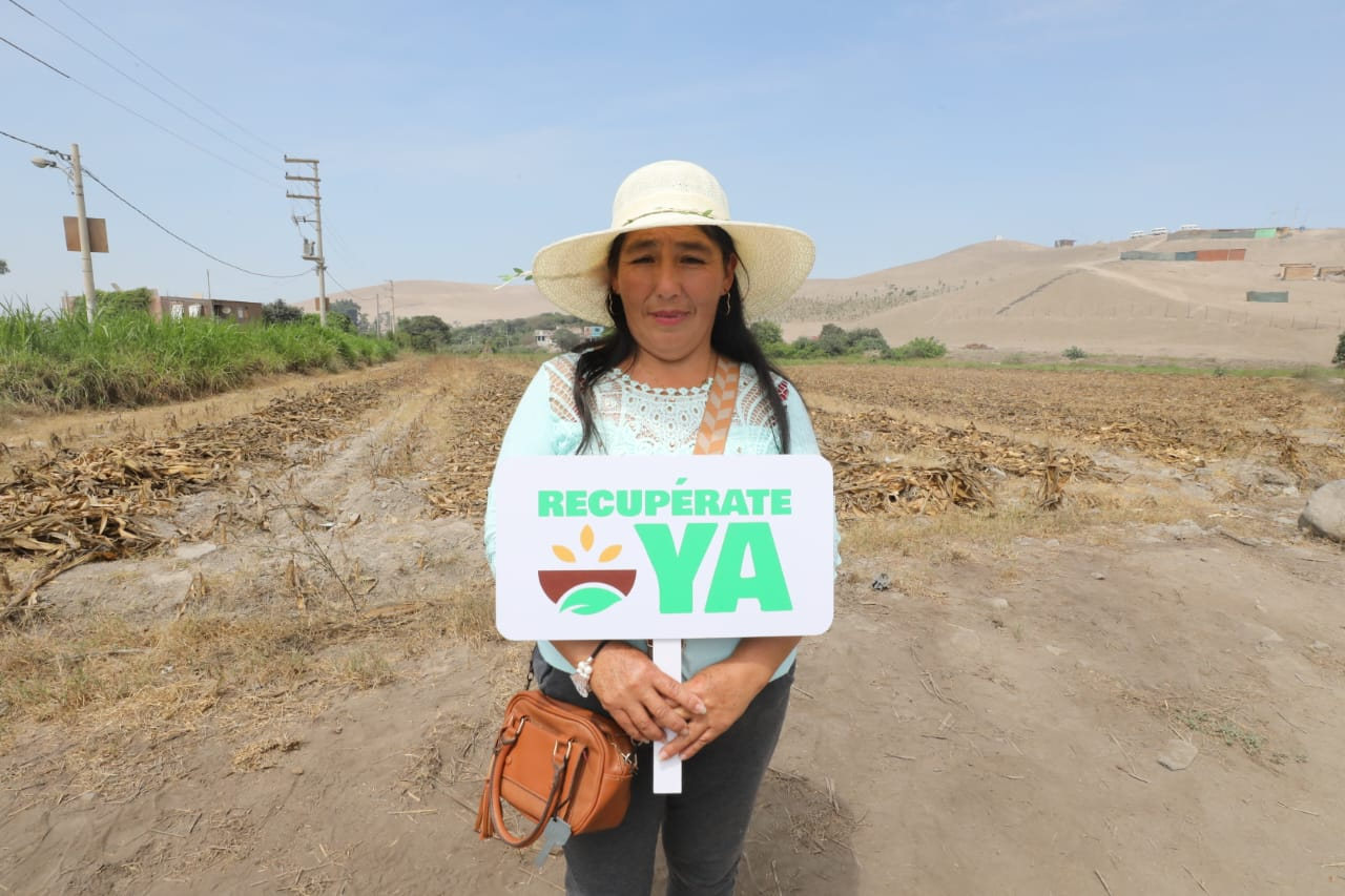 Drought bonus: Midagri began with the payment of financial support to ranchers and farmers