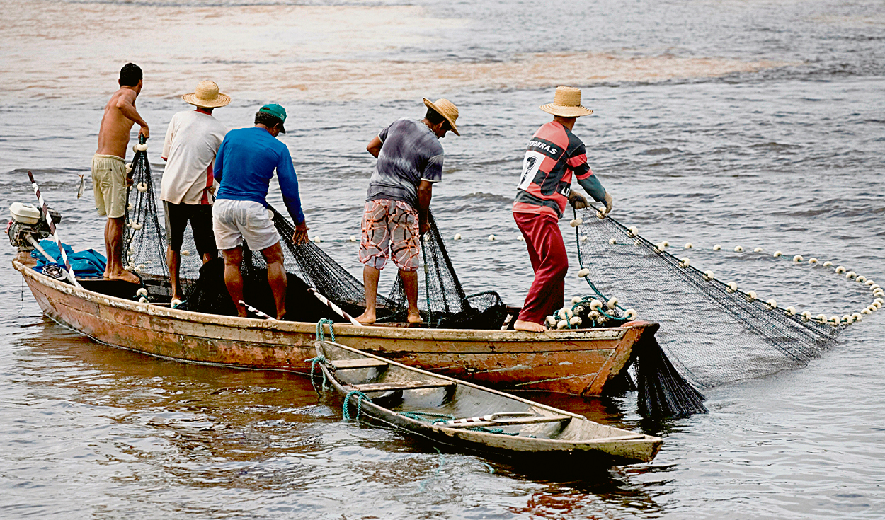 About 36,000 formal fishermen will have a bonus of S/500