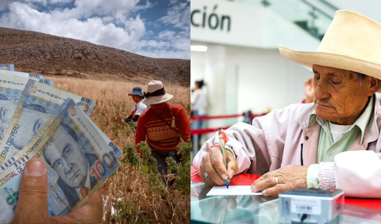 Link Bono Cultural 2023, cómo cobrar el subsidio de 820 soles paso a paso  del beneficio económico, bonos en Perú, trcm, ACTUALIDAD