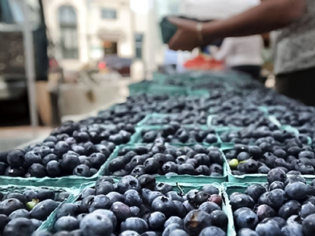 Agricultural exports grew 13% in 2022 and completed 7 years of consecutive growth