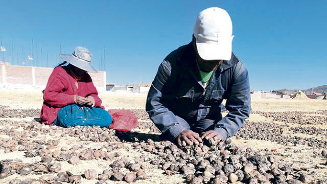 Government announces plan to reduce poverty in the country