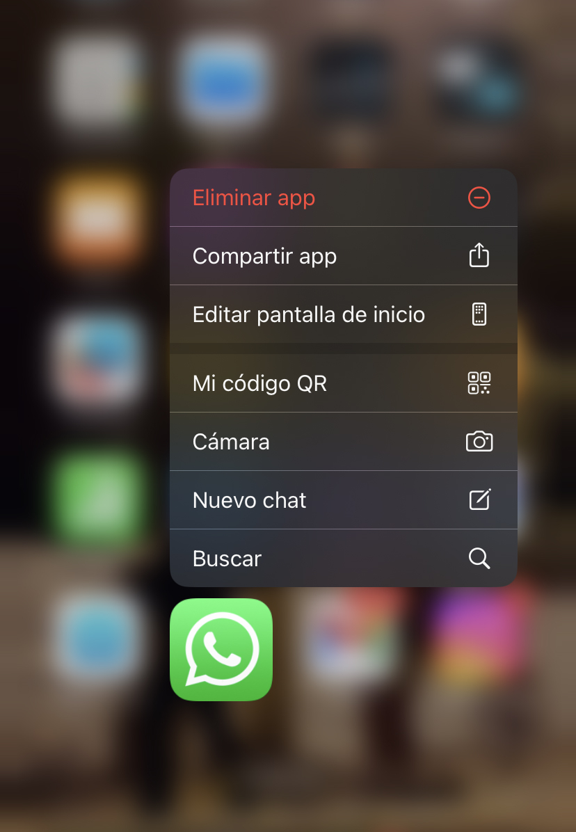WhatsApp how can I activate the hidden camera of the application