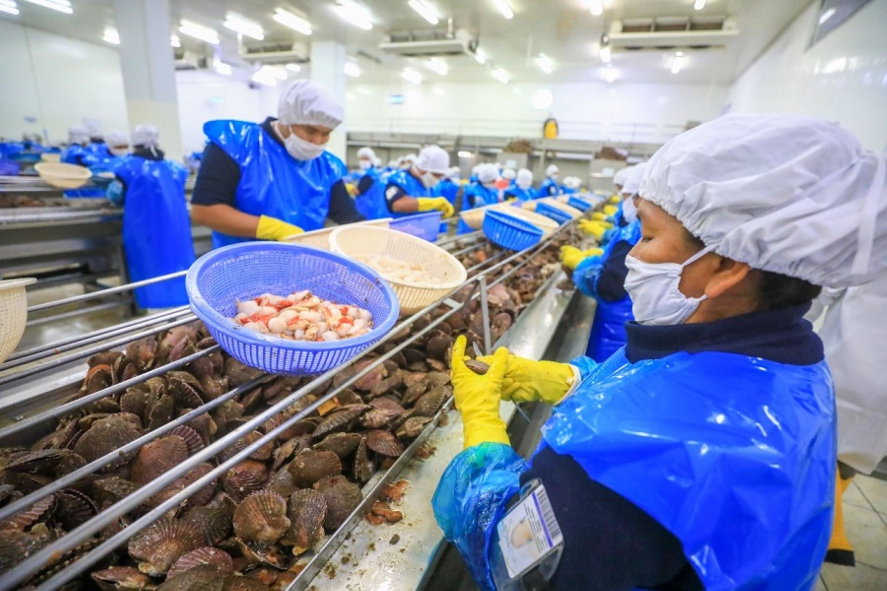Labor outsourcing: Indecopi suspends bureaucratic barrier procedure regarding the MTPE decree
