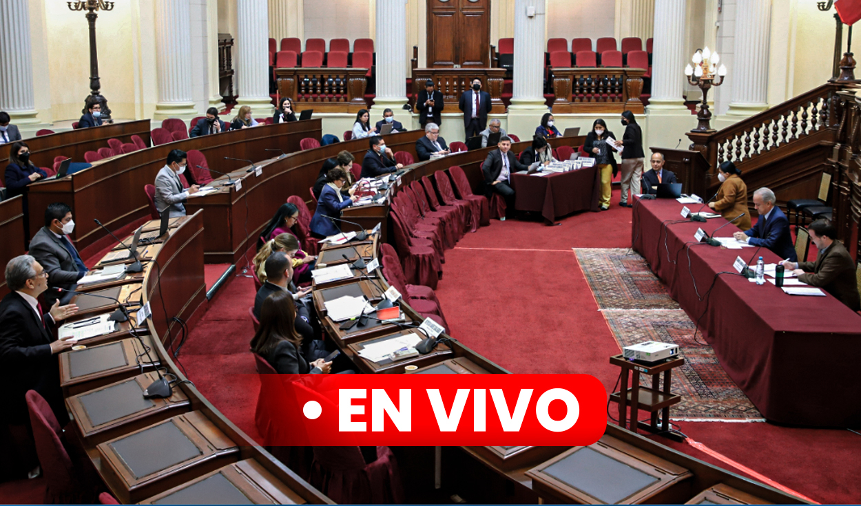 LIVE: Constitution Commission resumes debate on the project to advance elections