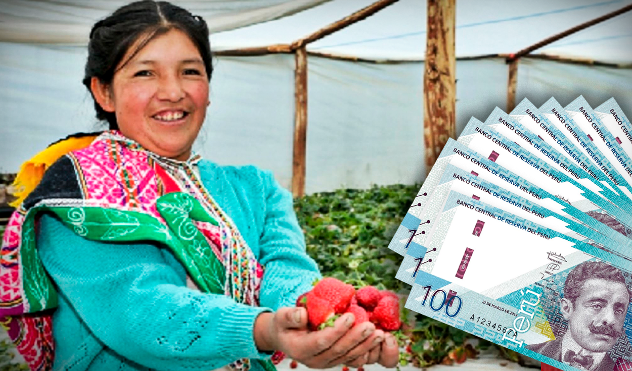 Agro Mujer: what are the requirements and how to access credit for women agricultural producers?
