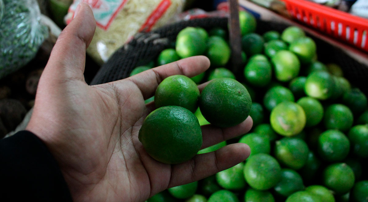 Kilo of lemon tripled and is sold up to S/15 in Tacna markets
