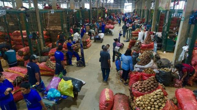 Great Wholesale Market of Lima: What foods dropped in price this Thursday?