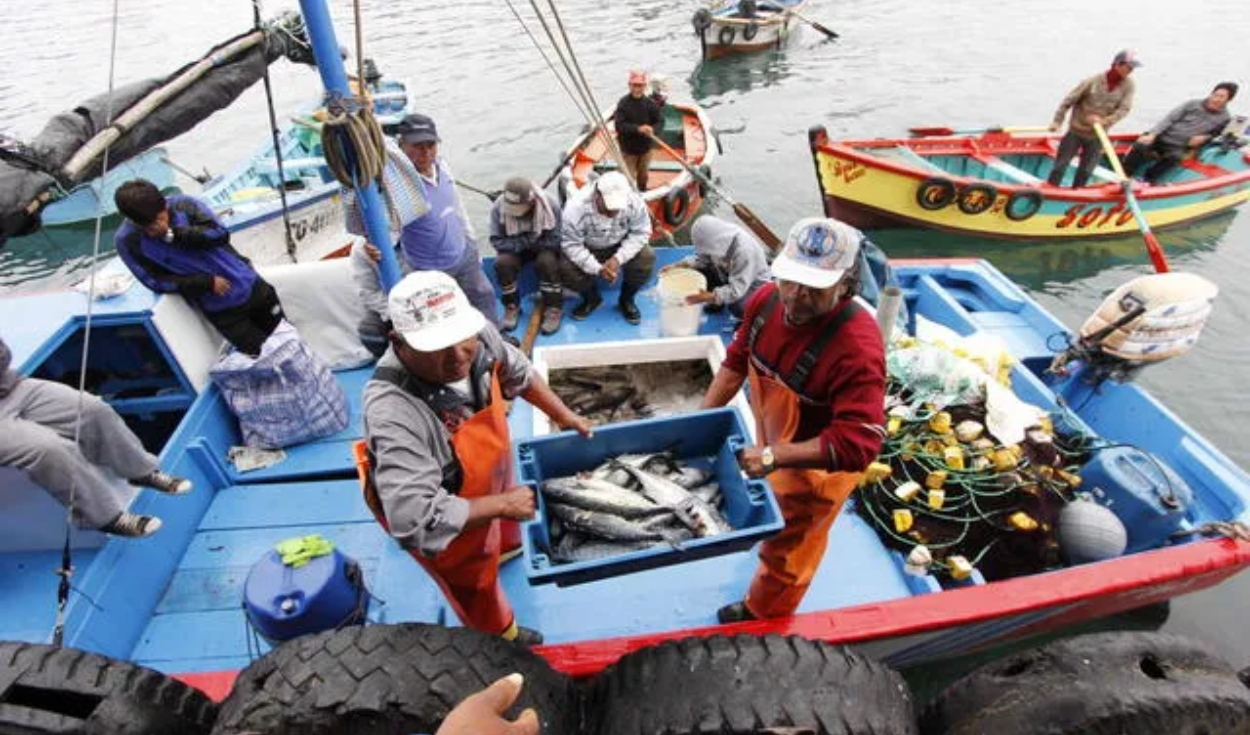 Produces does not specify the formalization process of almost 1,000 fishing vessels