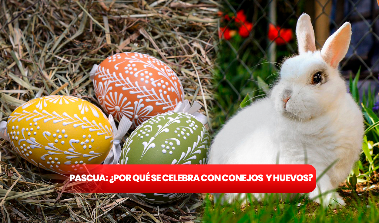 Huevos de Pascua, easter eggs: cómo hacer huevos de pascua y de qué  materiales los puedo hacer, huevitos de pascua tradición e historia, curiosidades sobre los huevos de pascua