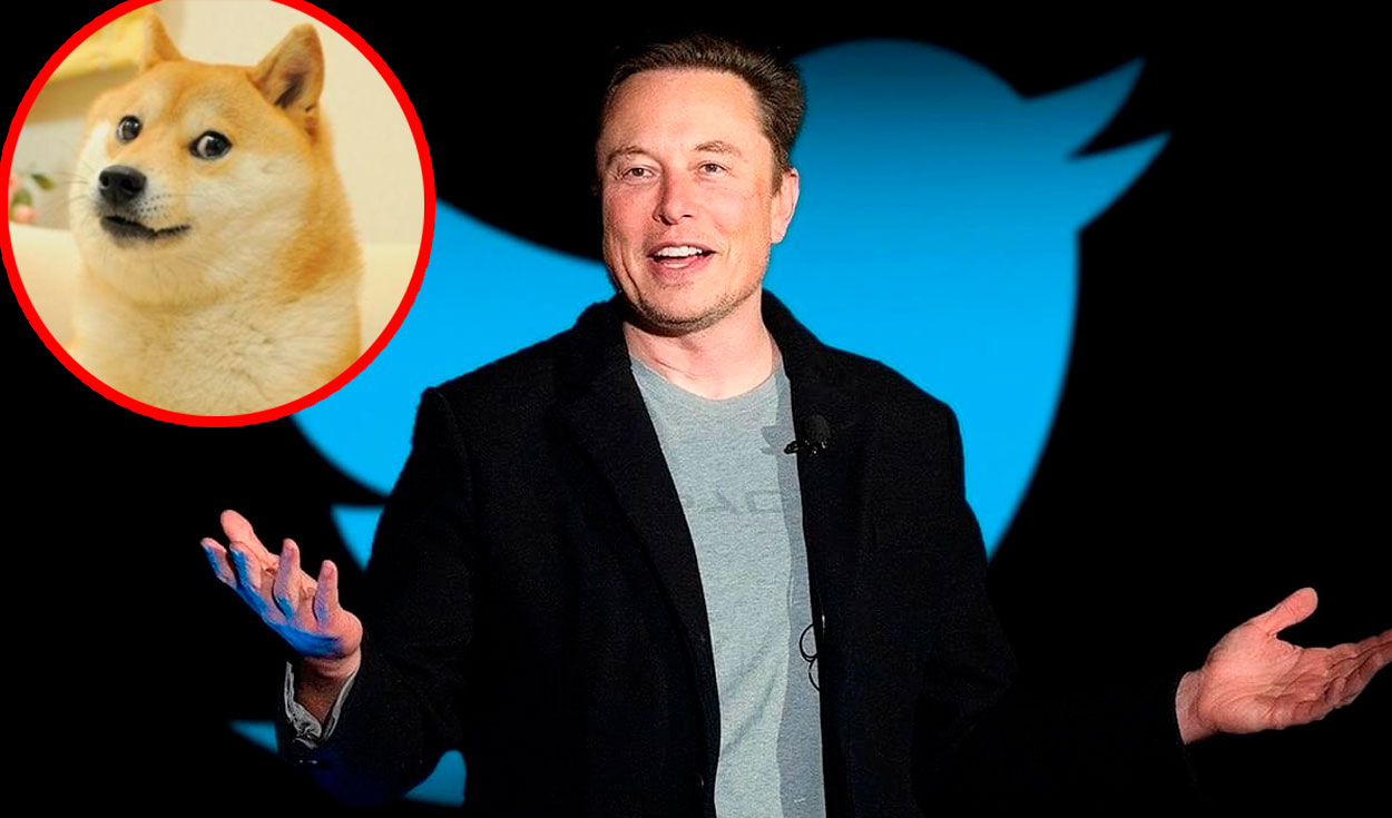 Elon Musk desaparece a Twitter como compañía para incluirla en una nueva  gran corporación | Actualidad | La República