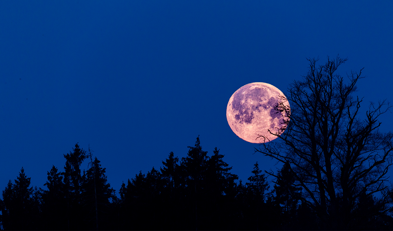 Pink Moon 2023 what it is, when and at what time to see the famous