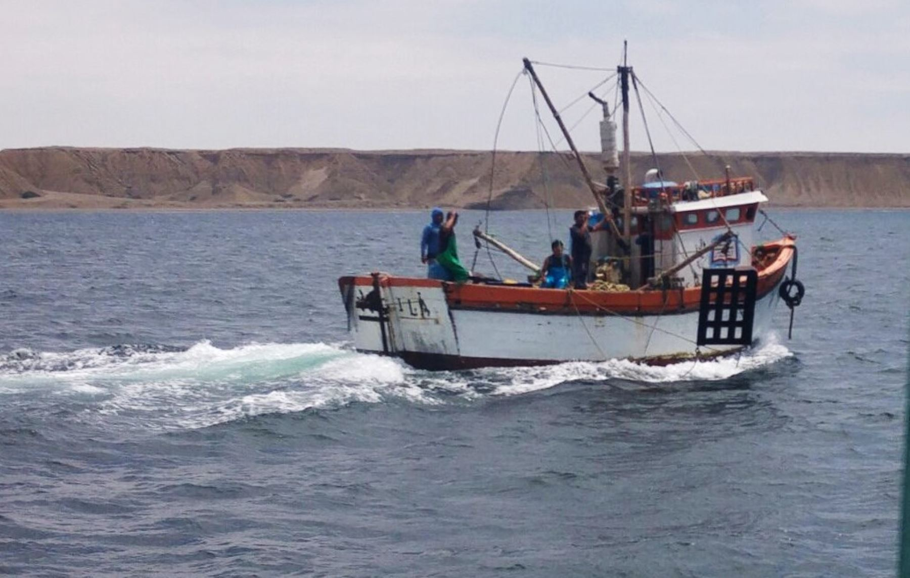 Produce set the hammerhead shark catch limit at 440 tons for 2023