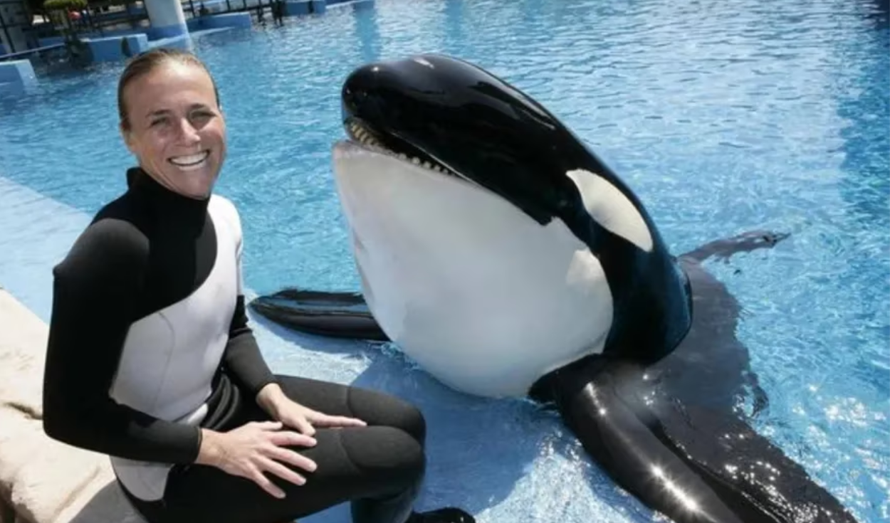 La triste historia de Dawn Brancheau, la entrenadora que fue asesinada por  la orca Tilikum que adiestró durante varios años | Mundo | La República