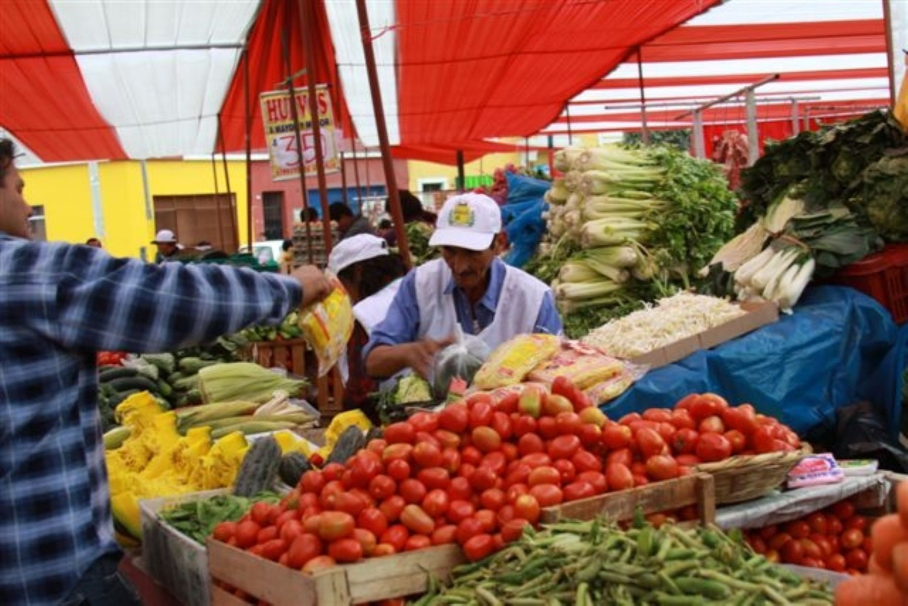 FAO: world food prices fall 20.5% in March