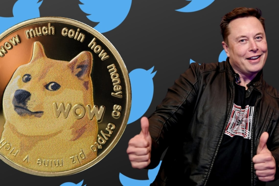 Dogecoin: Musk, stocks and the Twitter puppy for artificial market manipulation