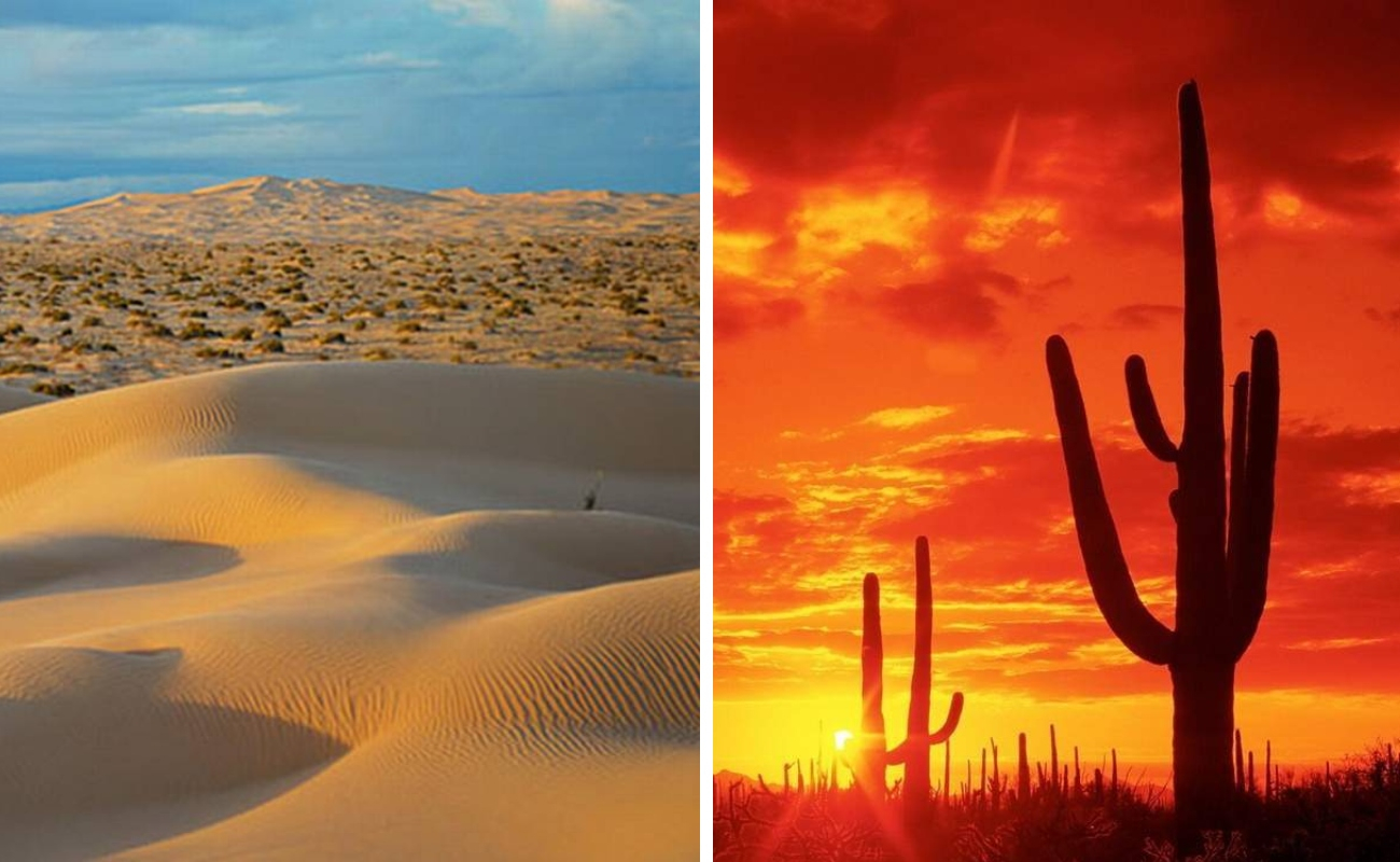 What is it like living in the Sonoran desert, the hottest place in the