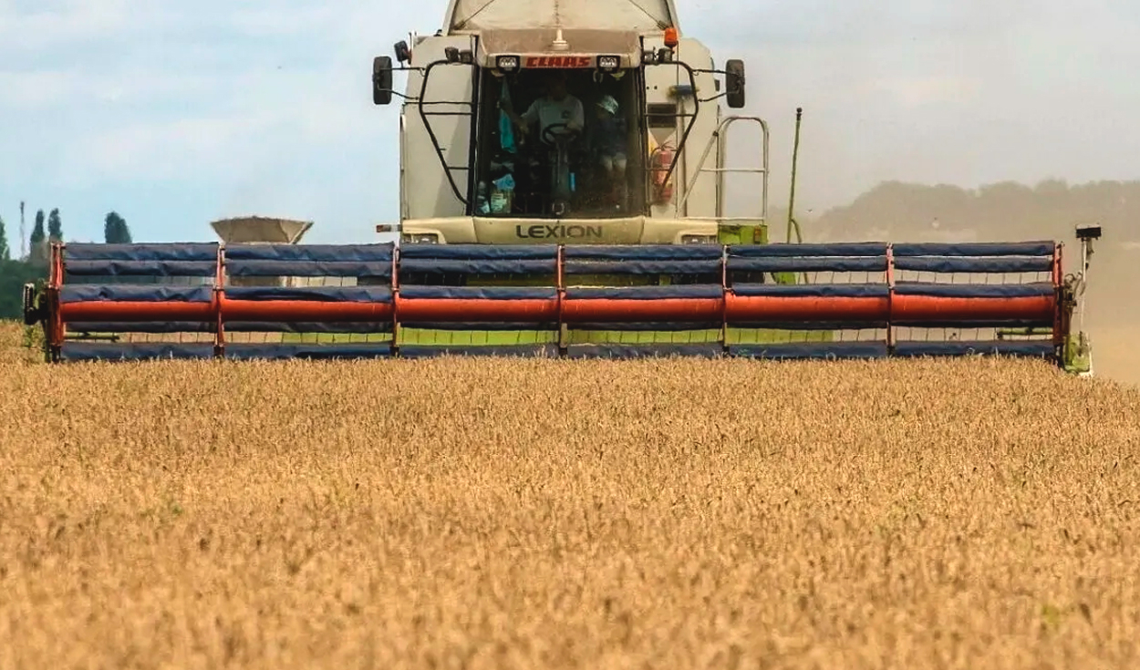 Hungary temporarily bans imports of grain from Ukraine to protect local production