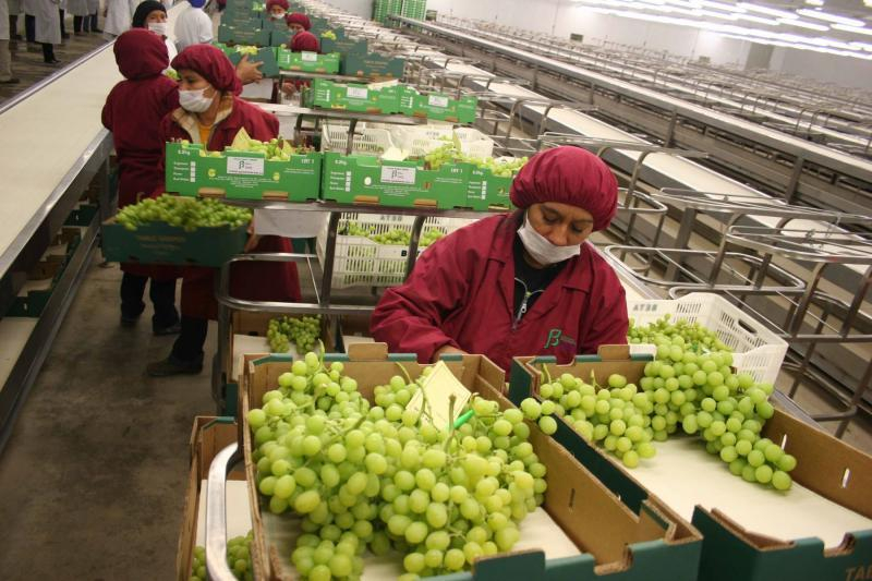Agricultural exports slowed down and grew only 0.8% in the first two months