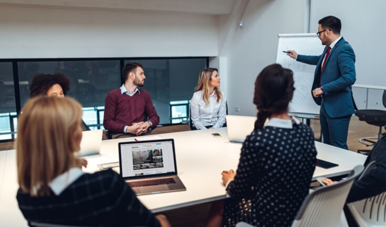 What are the three professional careers with the greatest potential to be employable in the future?
