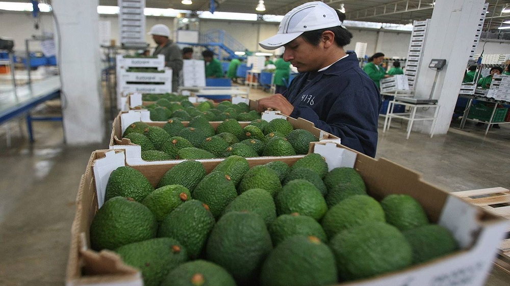 Exports from La Libertad grew 15% in the first two months