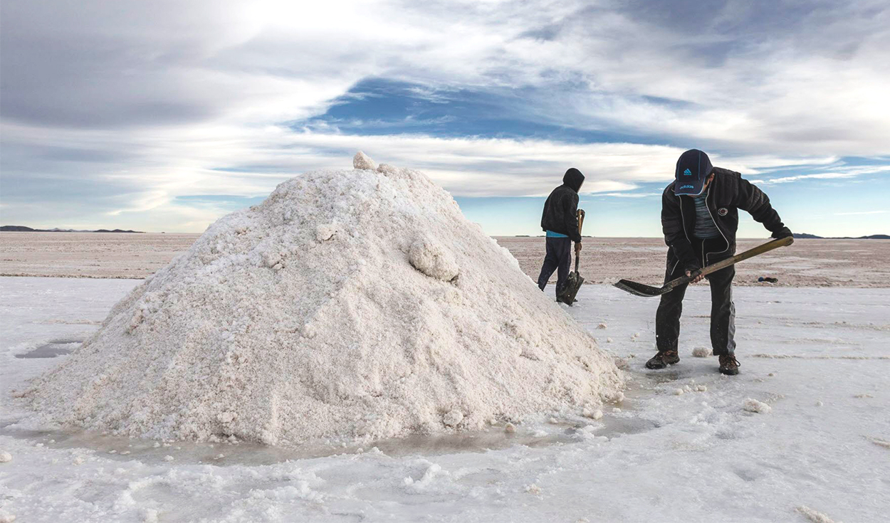 Congress proposes declaring the construction of a national lithium plant of national interest