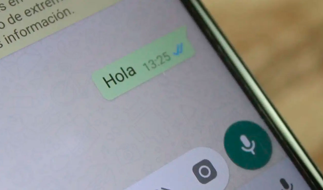 whatsapp-how-to-know-if-they-read-your-message-even-if-they-have