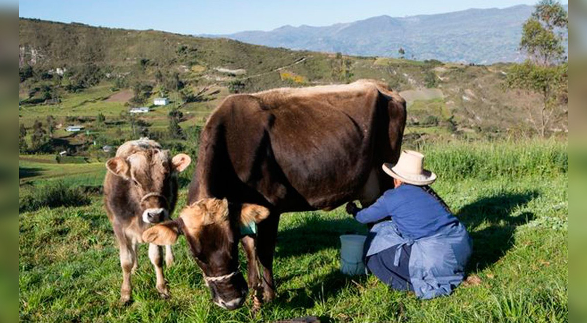 Executive table on the dairy sector will go one more year, but so far it has not achieved any results