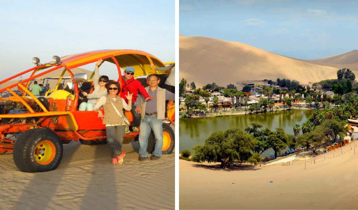 Camellos en Ica 2023: cómo llegar, precio de entrada y qué actividades  hacer | laguna huacachina | paseo en camellos | ubicación | Destinos | La  República