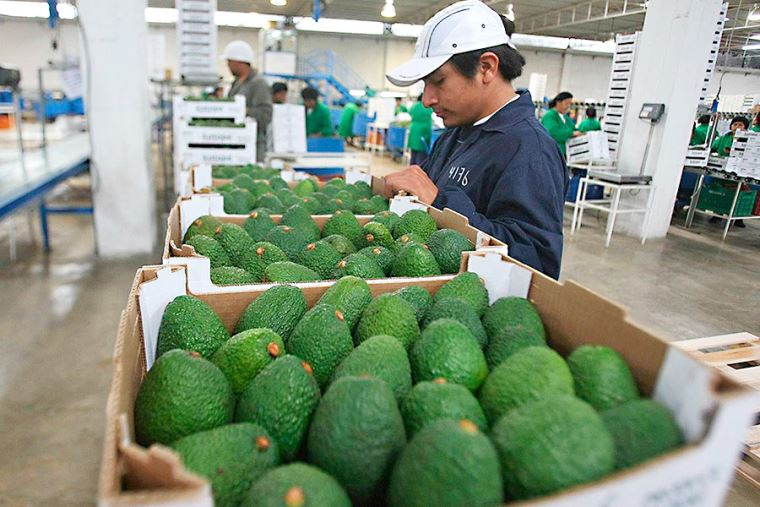 Mincetur launches the third call for the Internationalization Support Program for entrepreneurs