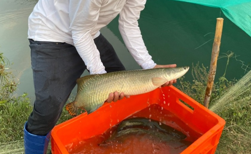 MEF publishes regulations of the Law for the Promotion and Strengthening of Aquaculture