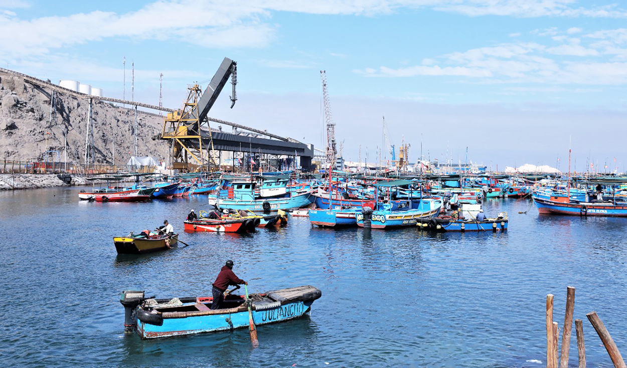 Produces: cooperative formalization process will benefit more than 5,000 artisanal fishermen