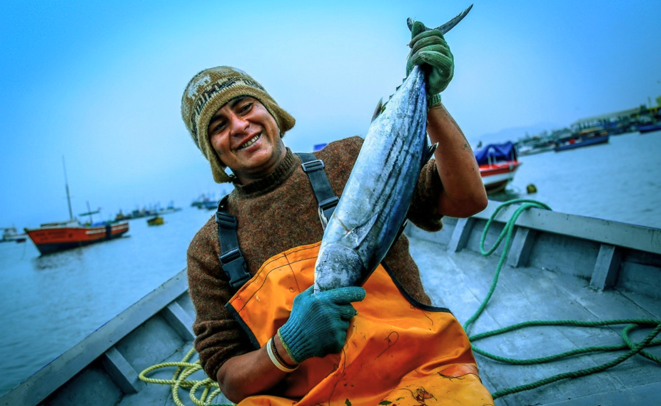 Government enacts law that protects the first 5 nautical miles from industrial fishing