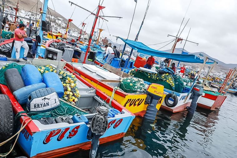 Fondepes: Produce appoints interim head of the National Fund for Fisheries Development