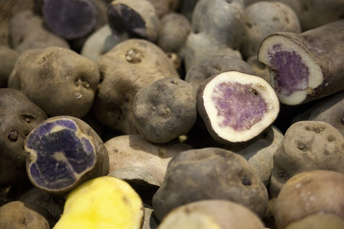 Potato exports exceeded US$542,000 in the first quarter of 2023