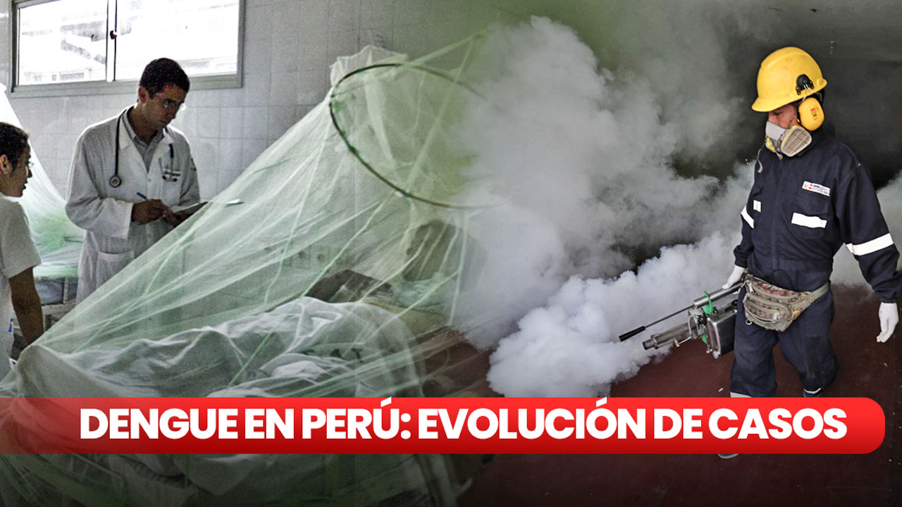 Pacientes hospitalizados ante incremento de dengue en Perú.