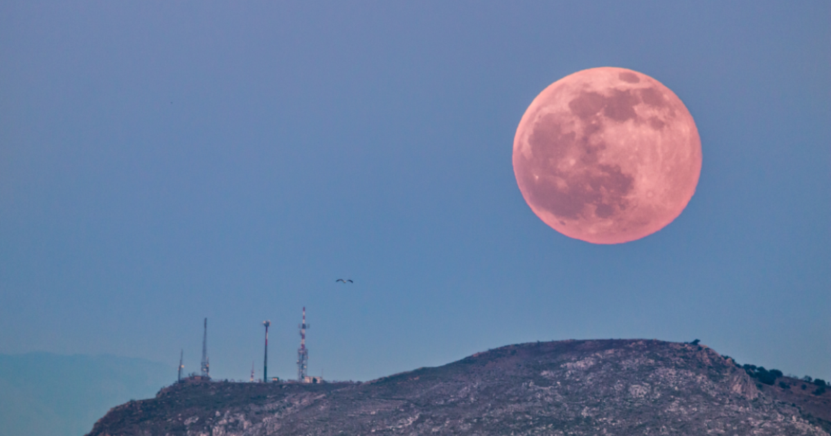 Strawberry Moon 2023 why the June full moon is called that and when it