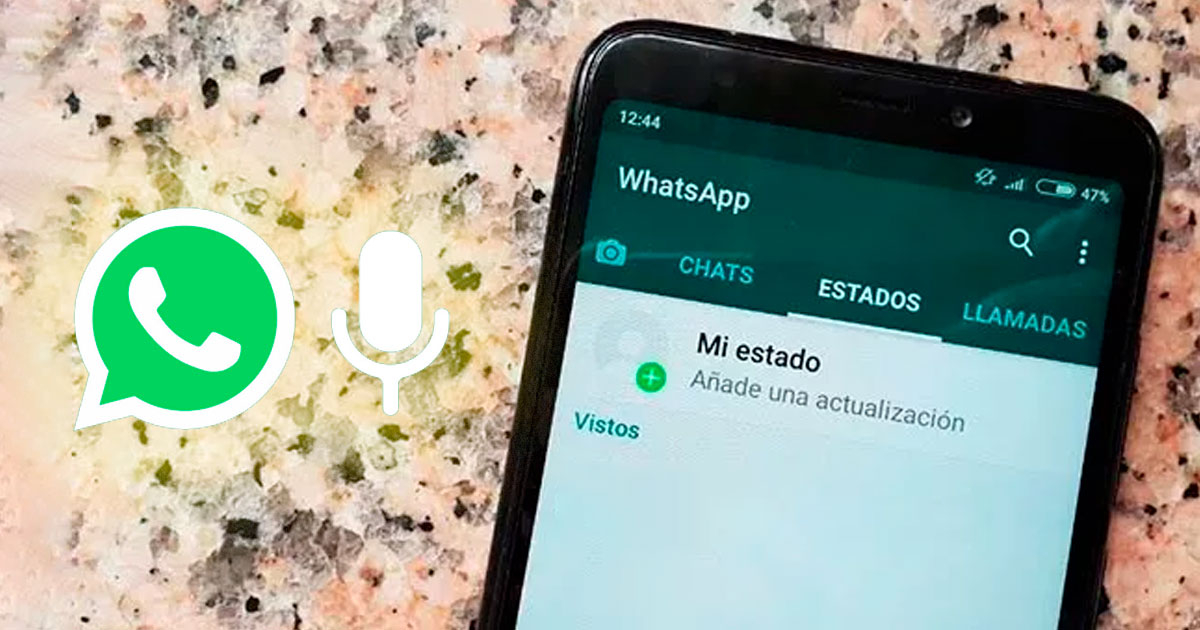 How To Add Voice Note To My Whatsapp Status