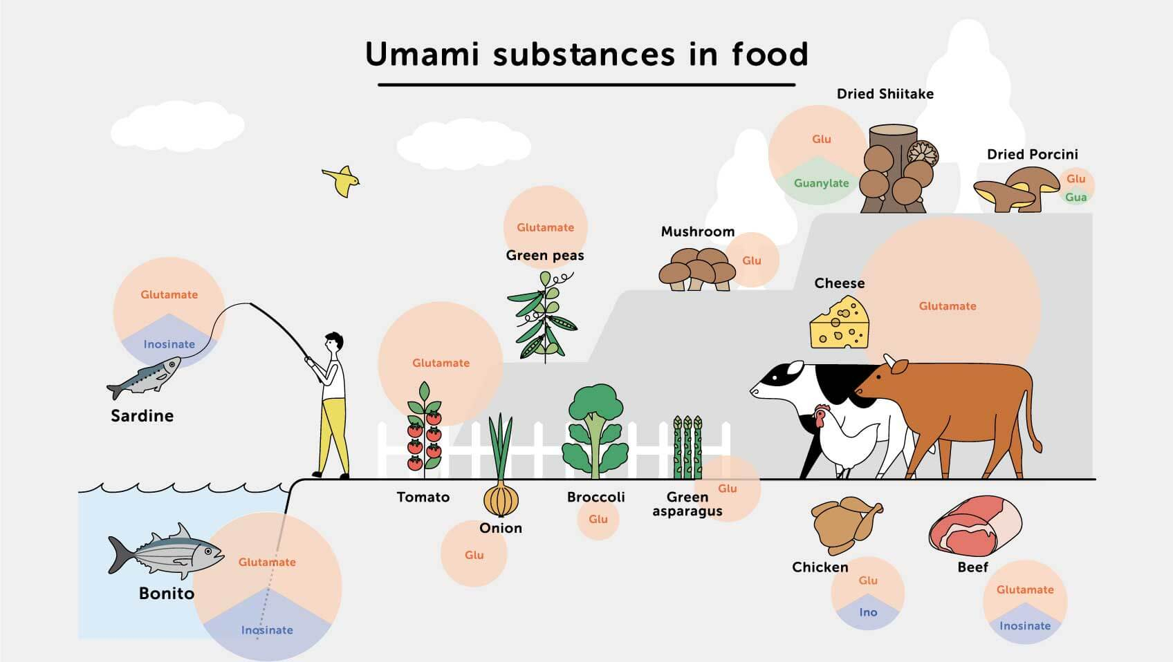 Запах умами. Umami. Umami food. Umami перевод. Umami taste is.