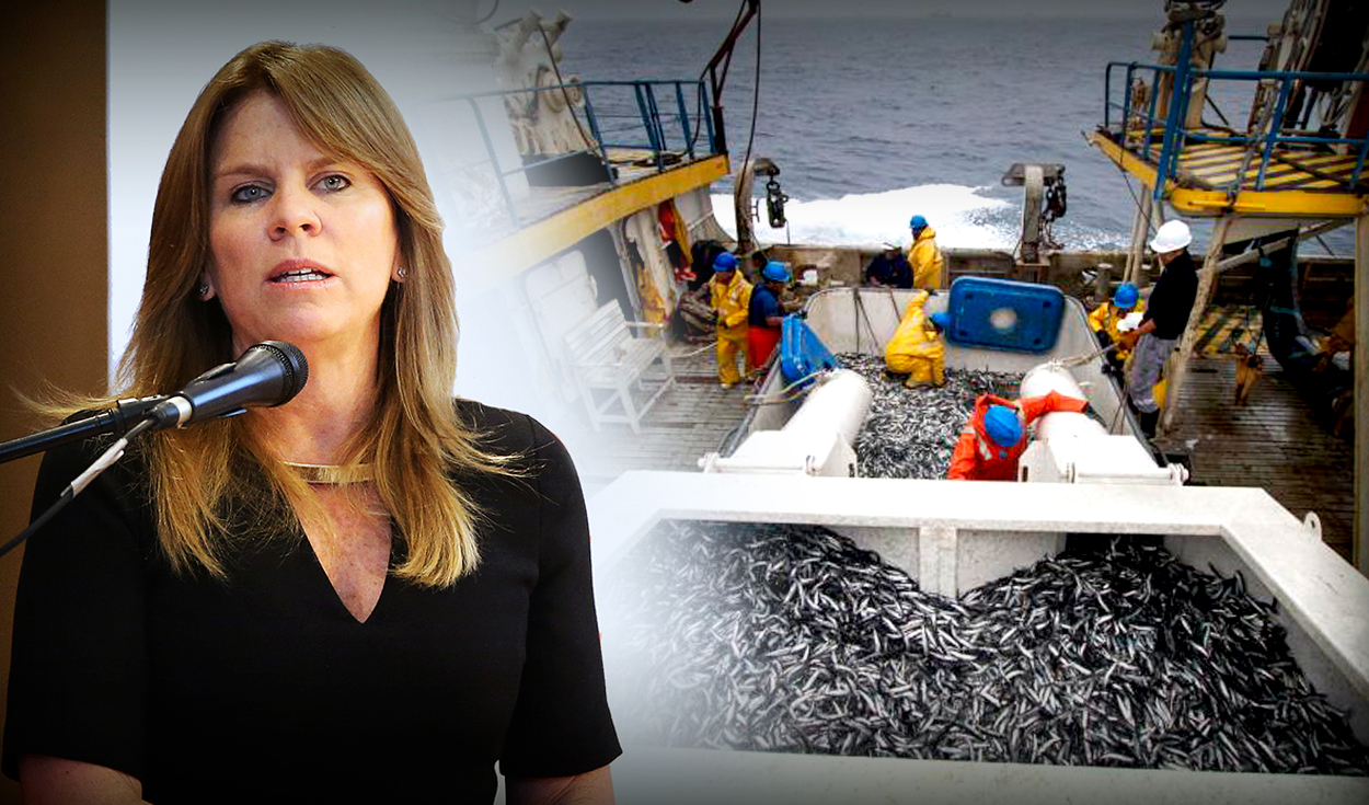 Cayetana Aljovín: “Yes, we are going to be able to have a first anchovy fishing season”