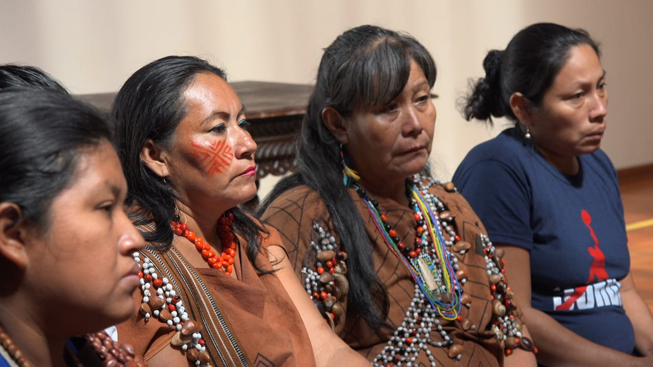Urgent need to stop the murders of environmental defenders