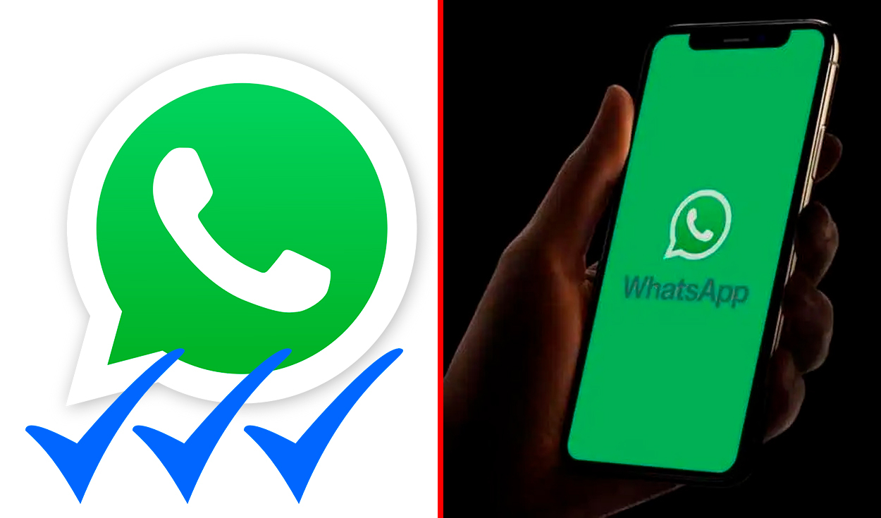 is-it-true-that-whatsapp-will-add-a-third-blue-checkmark-to-your