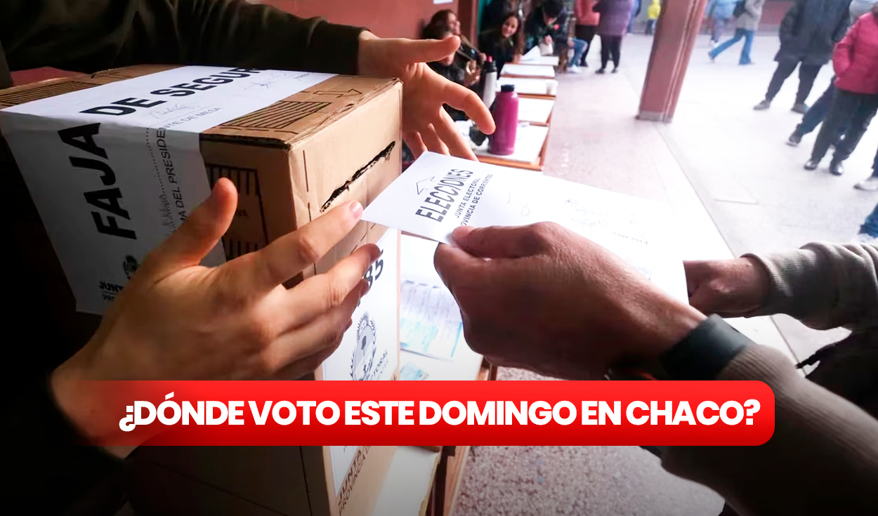 C mo saber d nde voto en las elecciones del Chaco Revisa el padr n electoral