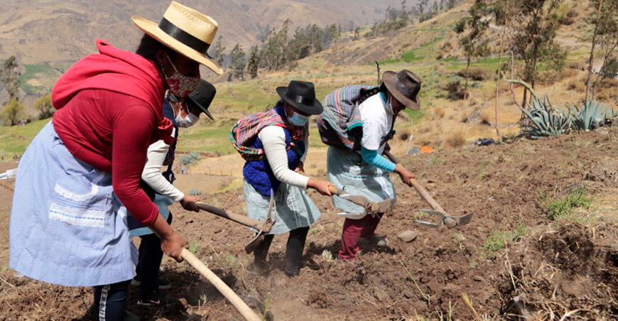 Cofide: more than 60% of rural participants in savings and credit unions are women