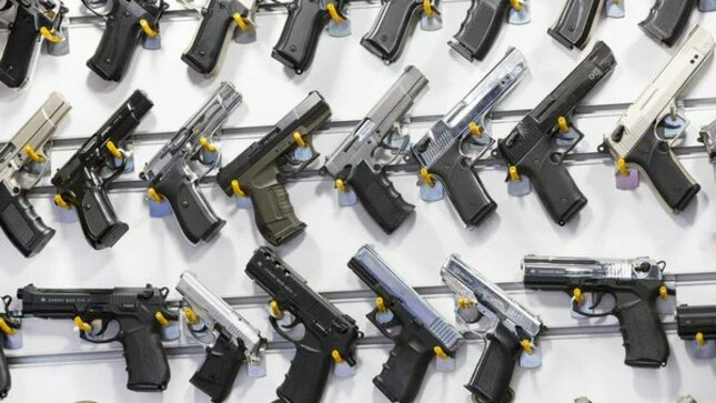 CCL: Imports of weapons for civilian use increased by more than 50% until May of this year