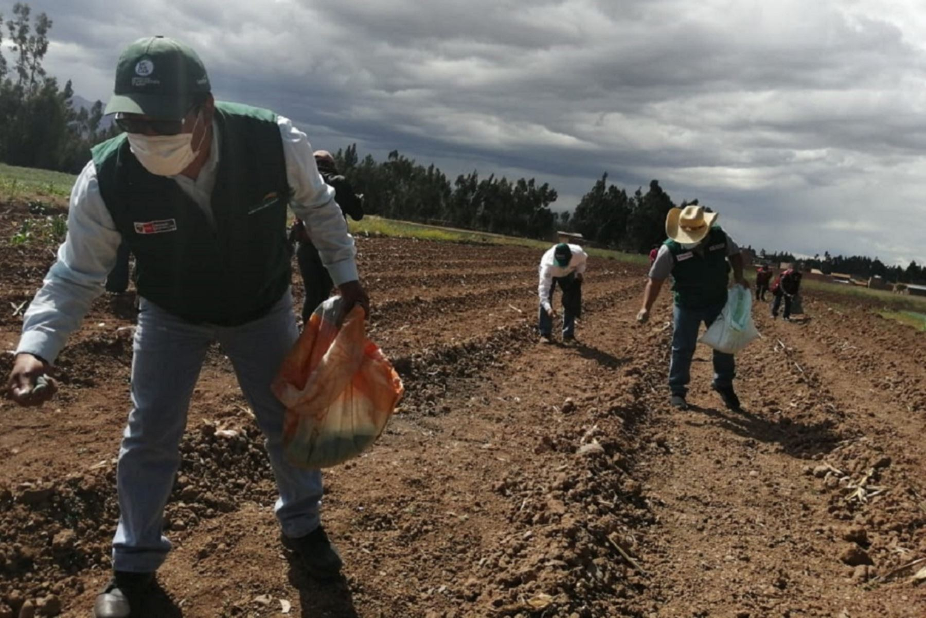 Agricultural workers have the right to receive 30% of the minimum vital wage as a bonus