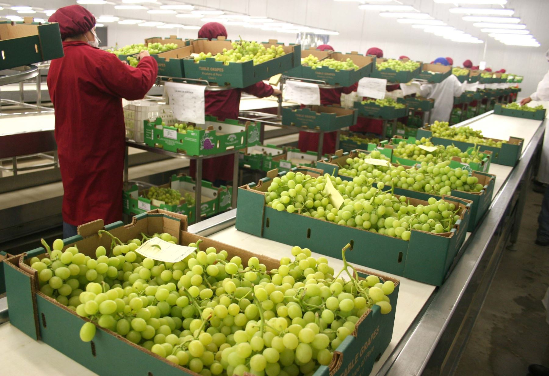 Agricultural exports from the coast grew 8.8% in the first four months of the year