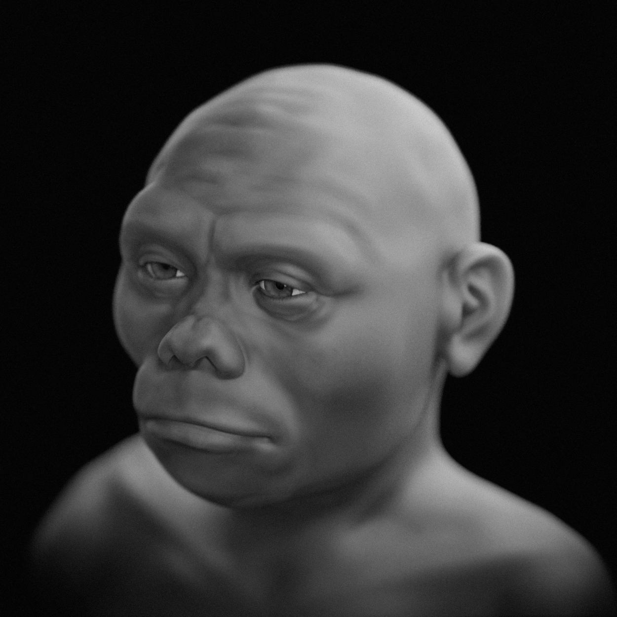 Scientists Reconstruct The Face Of The 'hobbit', Our Extinct Dwarf 